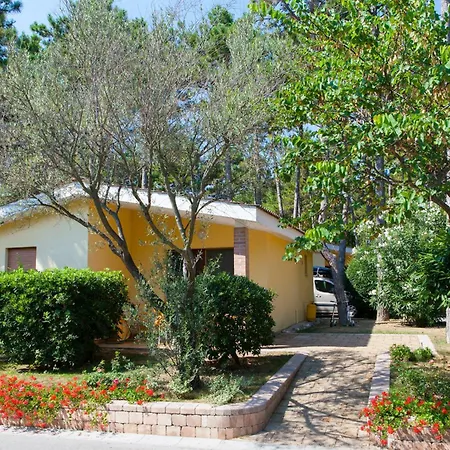 Resort Villaggio Turistico Internazionale