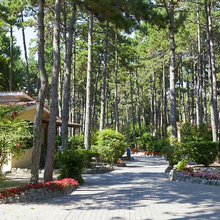 Resort Villaggio Turistico Internazionale