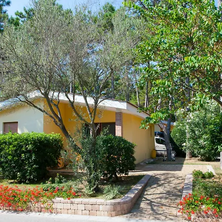 Villaggio Turistico Internazionale بيبيوني