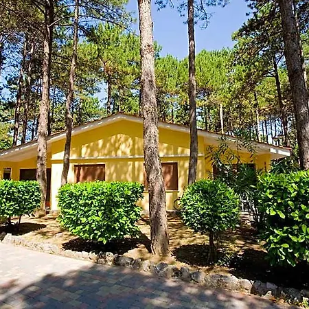 Villaggio Turistico Internazionale Θέρετρο 5*