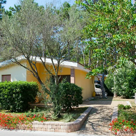 리조트 Villaggio Turistico Internazionale