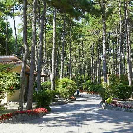 리조트 Villaggio Turistico Internazionale