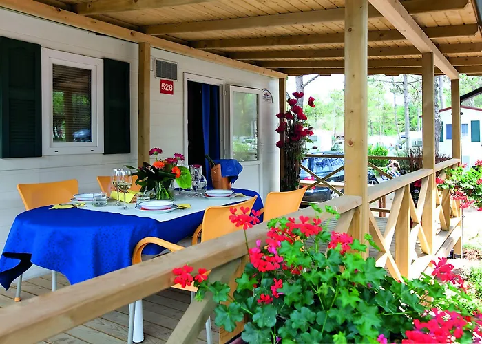 Villaggio Turistico Internazionale 5* بيبيوني